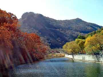 澳门与香港，免费资源的魅力与精准服务的力量（2005年）